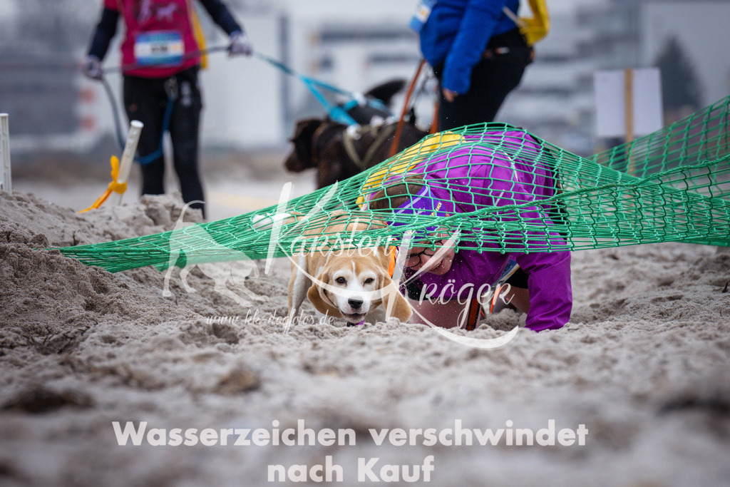 1215_ZZ93004 | kk-dogfotos