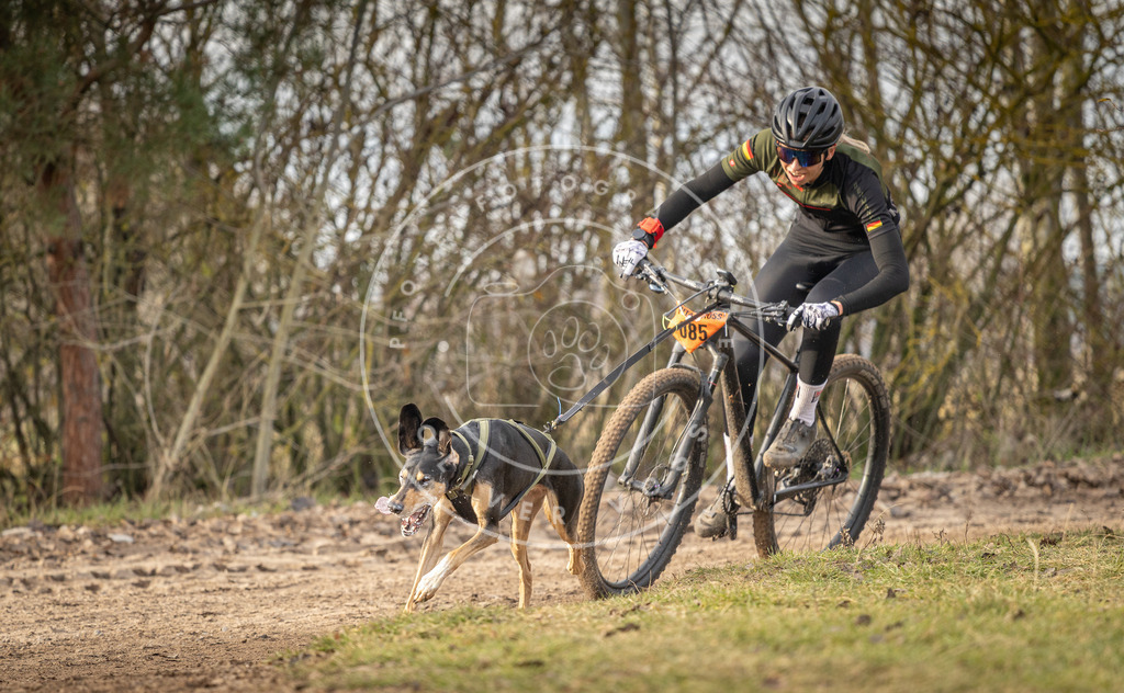 Pfotenfotografie_DV3A7577 | Hundefotografie, Tierfotograf, Pfotenfotografie, Fotoshooting Hund, Hunde Portrait, Hundesport, Hundeportraits, Heideshooting, Hunde, Sportfotograf, Hundefotograf, Turnierhundsport, THS,  - Realisiert mit Pictrs.com
