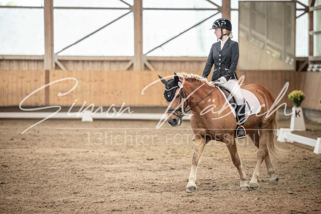 20251011-_3LI6651 | Tierfotografie Pferde, Hunde, Katzen, Haustiere.
Turnierfotografie Reitturniere, Reiten, Springreiten, Dressur in Hanau, dem Main-Kinzig-Kreis und dem Rhein-Main- Gebiet um Frankfurt