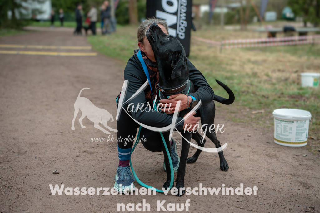 0817DZ6_0581 | kk-dogfotos