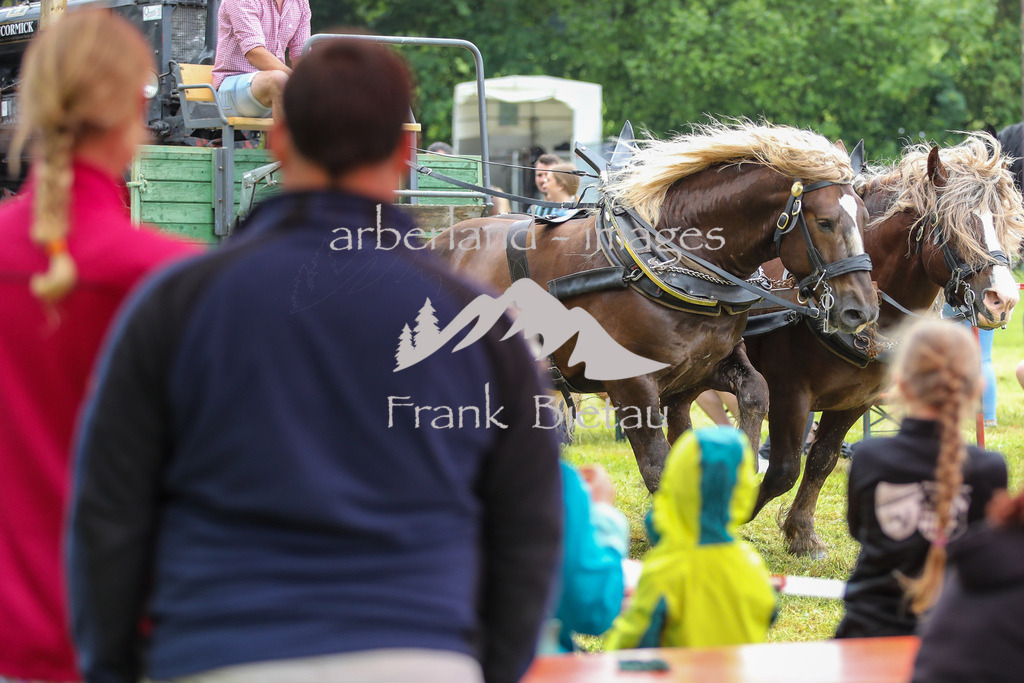 OE7A7115 | Medien- Sport- Entertainmentfotos