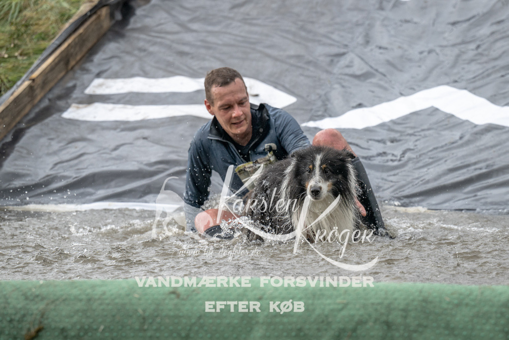 1203_ZZ94259 | kk-dogfotos