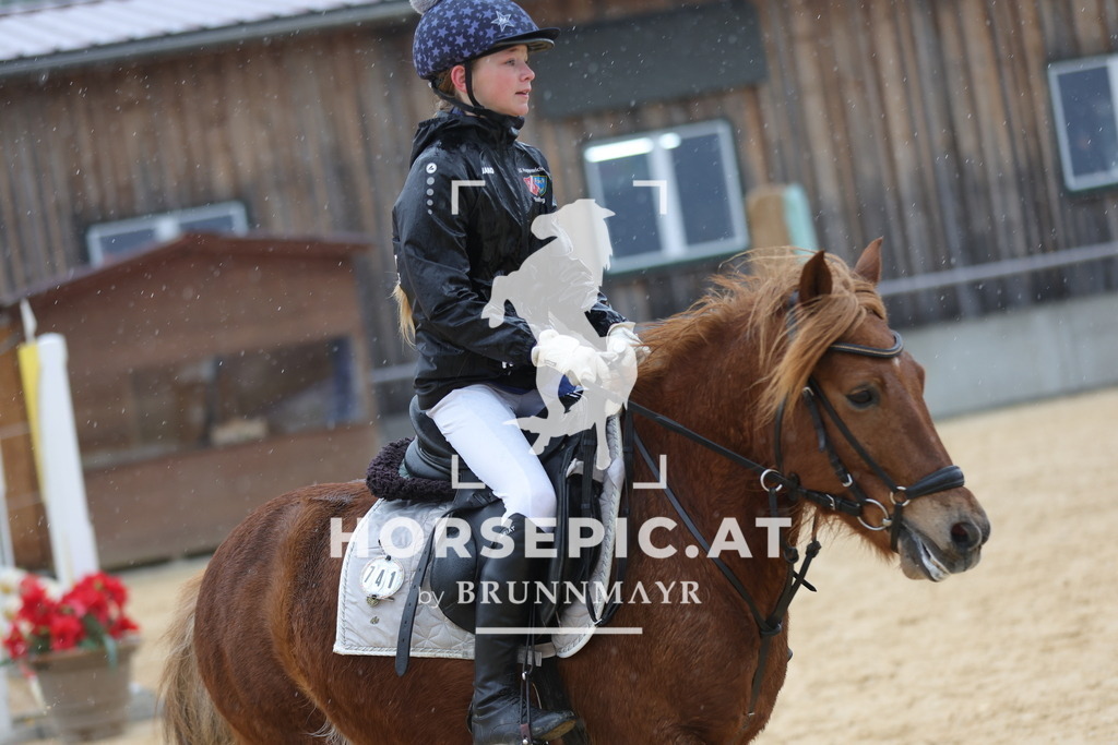 0P6A7276 | Willkommen bei Brunnmayr - Design & Fotografie – Ihrem Spezialisten für Reitturniere und Pferdeveranstaltungen in Oberösterreich, Salzburg und Bayern! Seit über 17 Jahren sind wir leidenschaftlich dabei.