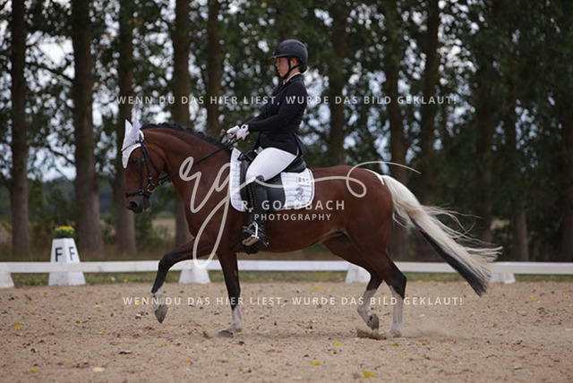 1J2A0893Charlotte Fehr_ Ikon 16_ Kn061_ Wöpkendorf_ Annalena Beier_ Quinn M_ Kn095 | Foto- und Videografie für alles rund ums Pferd. Hochwertige Bilder und Videos vom Spring- und Dressurreiten, Voltigieren & mehr. Jetzt aktuelle Veranstaltungen und Preise im Shop ansehen. - Realisiert mit Pictrs.com