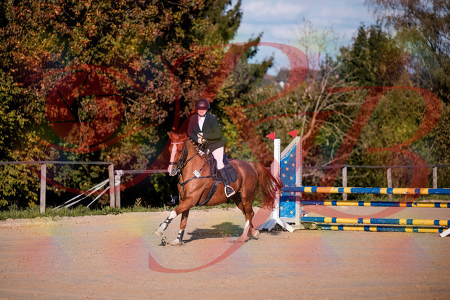 2026_10_03_Siefer-Hof_171734_Z81_15568496 | Professionelle Reitsport-, Turnier- und Eventfotografie von Robert Broda. Galerien mit ausgewählten und bearbeiteten Bildern direkt online ansehen und bestellen.