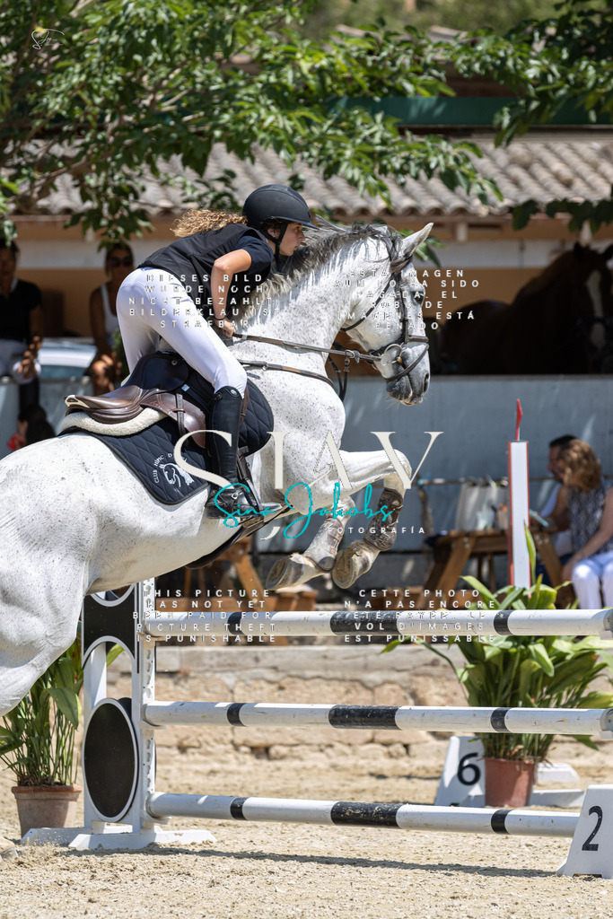 IMG_6223 | s-jay-photography - Realisiert mit Pictrs.com