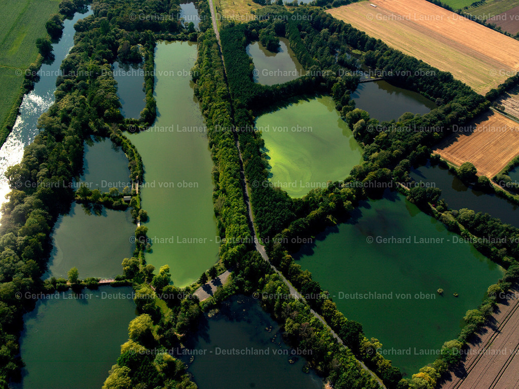 24s04085 | Fischteiche im Aischgrund