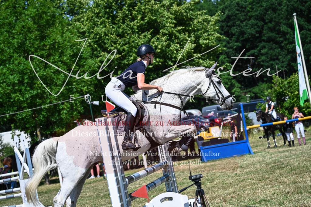 DSC_1085 | Pferde- und Turnierfotografie in Westsachsen. Pferdeportraits, Auftragszeichnungen und intuitive Kunst.