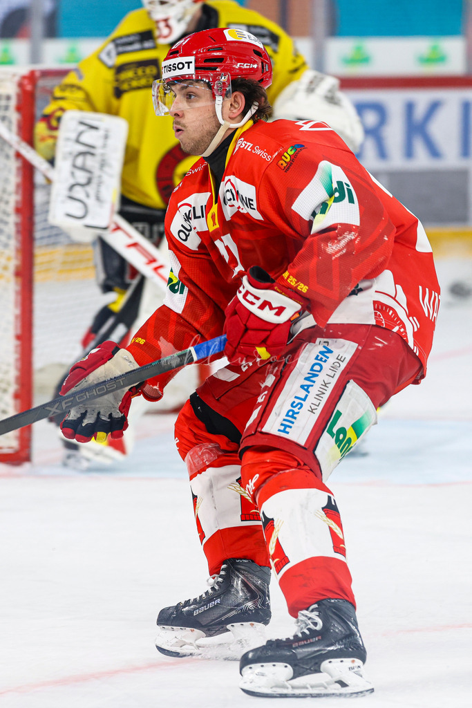 EHCB vs SCB 20260312_wb-4357 | Sportbilder, Sportfotograf, Hochzeits- und Eventfotografin, Flugshows, Portraits und Tiershooting, Aviation, Downhill, Nationalleague, Swissleague, International