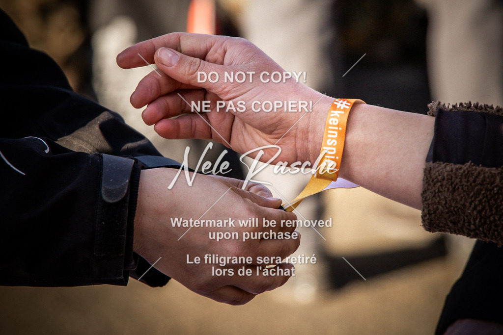 NR__0379-2 | nelerasche