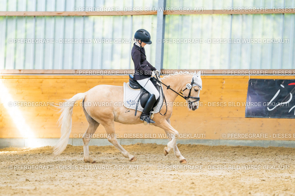 DSC07150 | Pferdegrafie