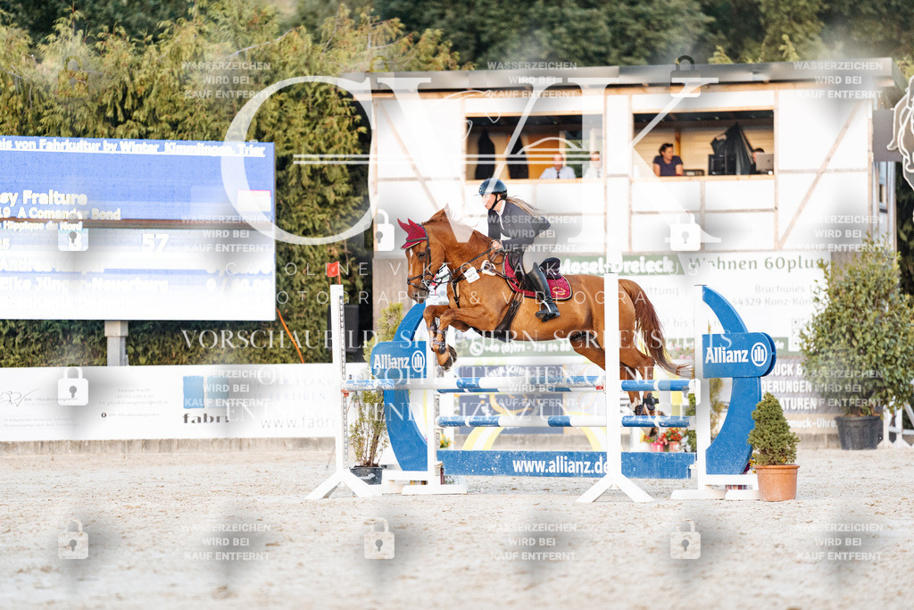 CK901421 | Turnierfotografie Pferdefotografie Trier Rheinland-Pfalz Pferdesport Reitsport Tierfotografie Sportfotografie Pferdevideo Pferdevideografie Equestrianvideography equestrianphotography  - Realisiert mit Pictrs.com
