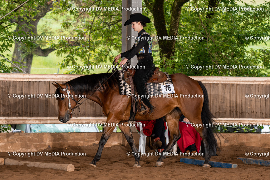 Erbach Tag 3-285 | dv-media-shop - Realisiert mit Pictrs.com