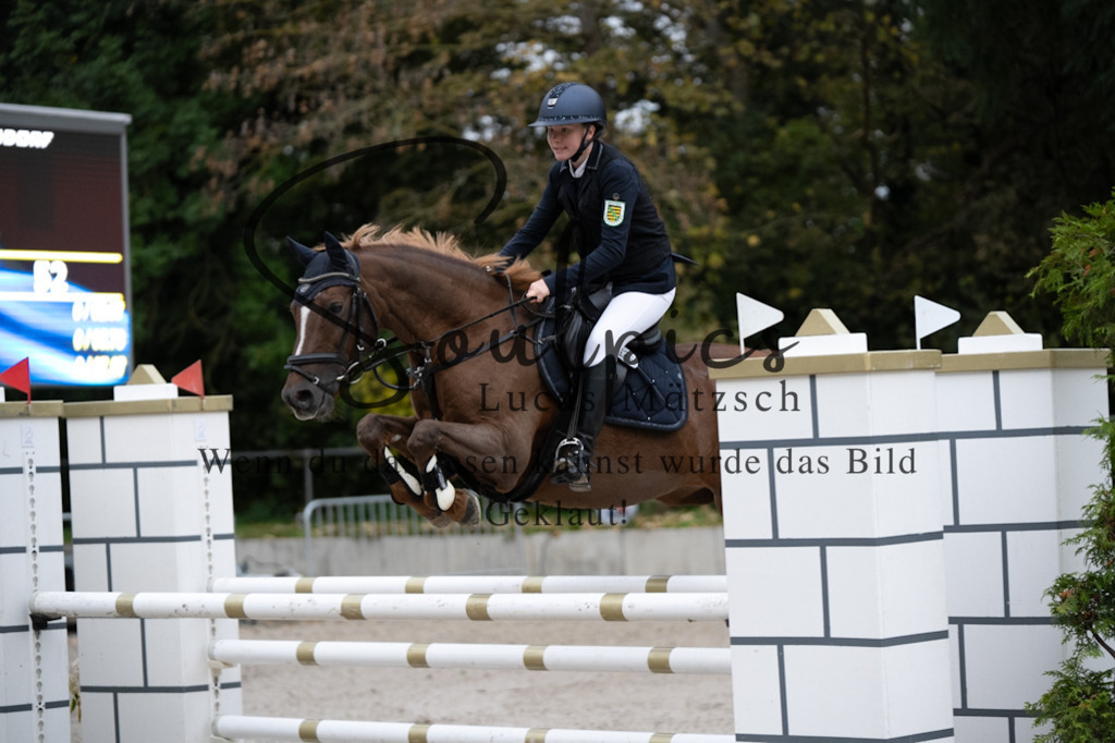 A7V08683 | Pferdefotograf