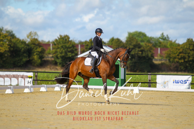 DKP43989 | Turniersportfotografie; Pferdefotografie; Dressurfotografie