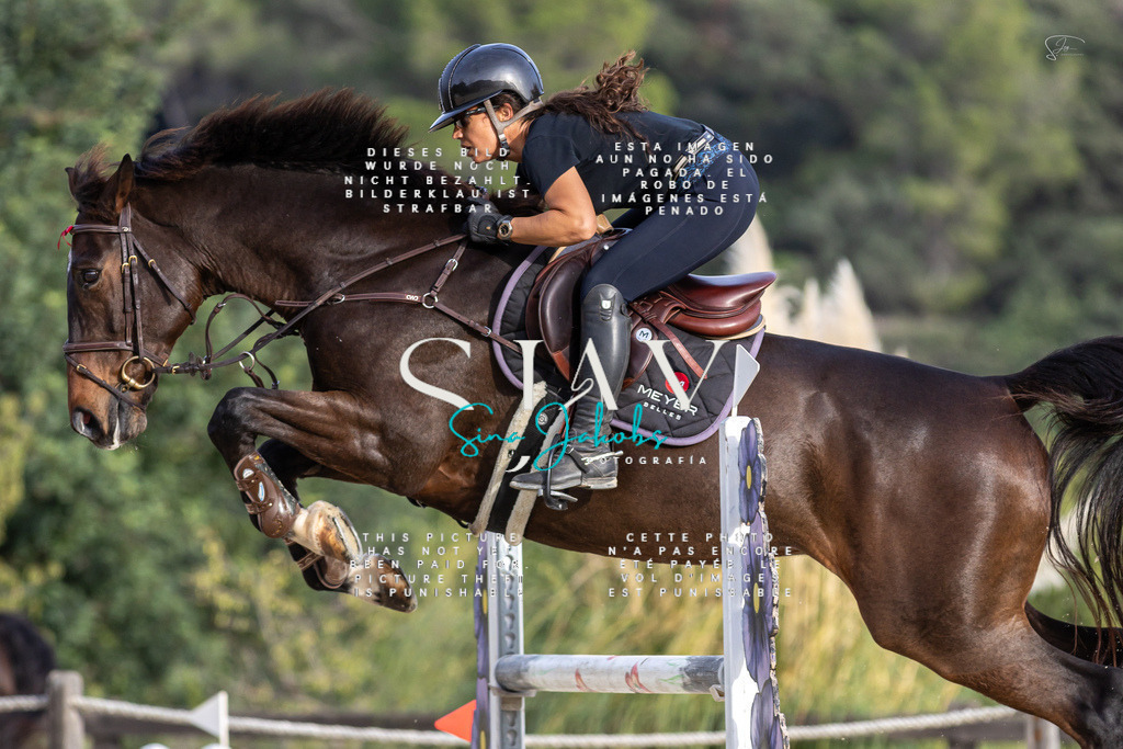 IMG_4712 | s-jay-photography - Realisiert mit Pictrs.com