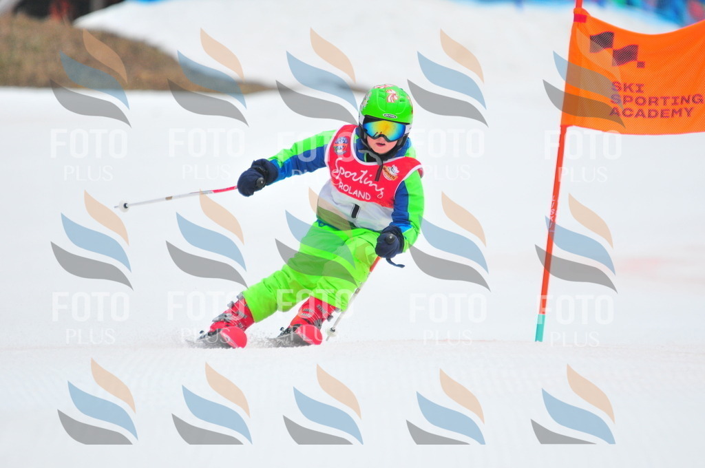 C0300 | holidayphoto