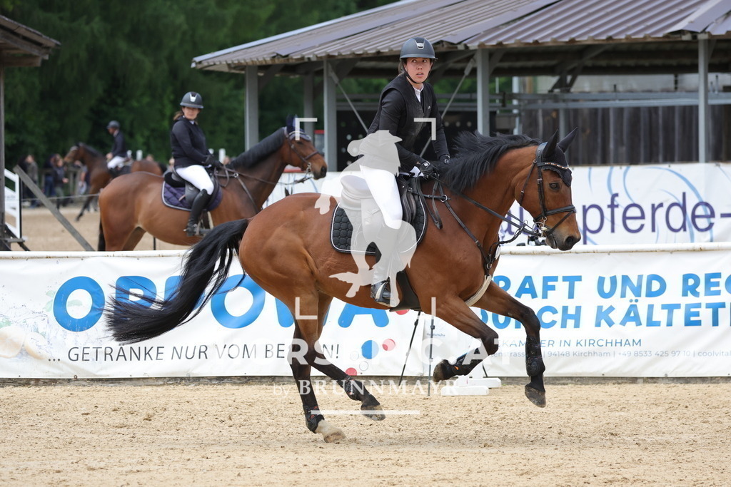 0P6A7626 | Willkommen bei Brunnmayr - Design & Fotografie – Ihrem Spezialisten für Reitturniere und Pferdeveranstaltungen in Oberösterreich, Salzburg und Bayern! Seit über 17 Jahren sind wir leidenschaftlich dabei.