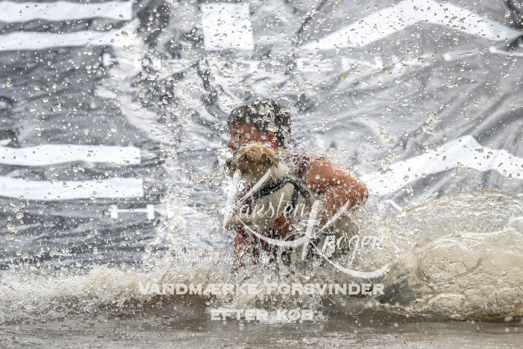 1418_ZZ94991 | kk-dogfotos
