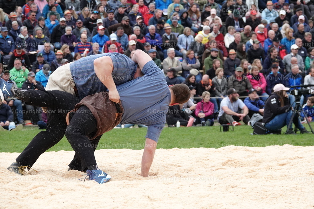 DSC03424 | Schwingen - Realisiert mit Pictrs.com