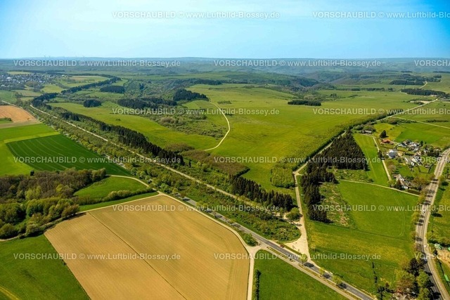 Schleiden240502159DreibornerHochfläche | Luftbild, Waldgebiet und Dreiborner Hochfläche Naturschutzgebiet NSG zwischen Scheuren und Dreiborn, Baumallee und Wanderweg an der Landstraße L207, Fernsicht im Nationalpark Eifel, Herhahn, Schleiden, Nordrhein-Westfalen, Deutschland