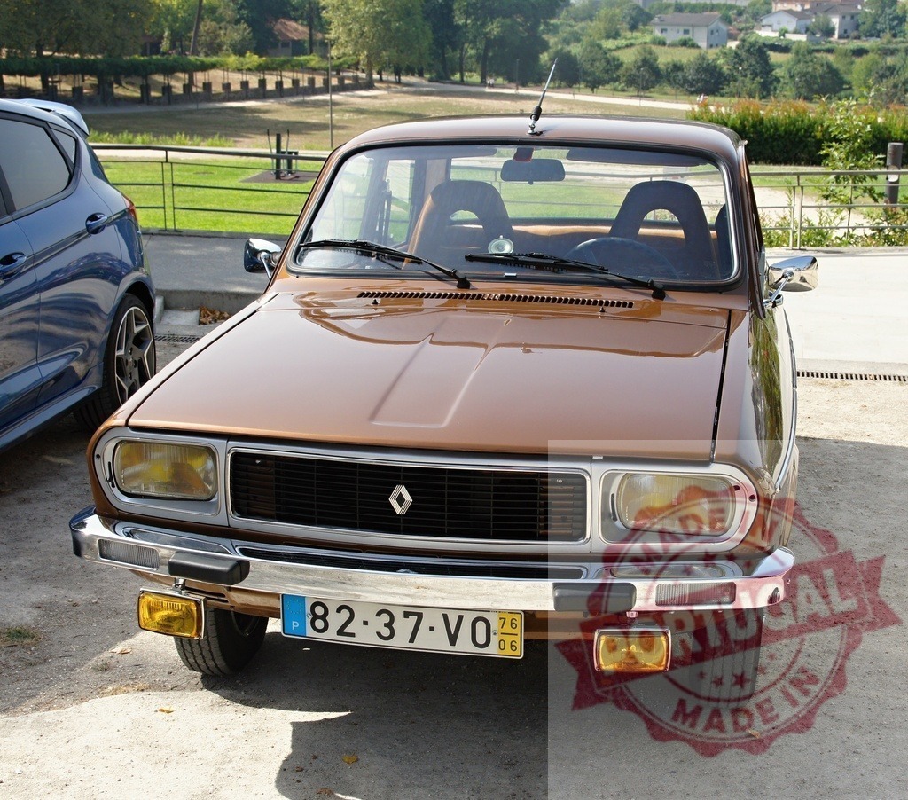 Renault 6 TL parked near a park showing its front | Brown Renault 6 TL parked in a parking lot near a park - Realized with Pictrs.com
