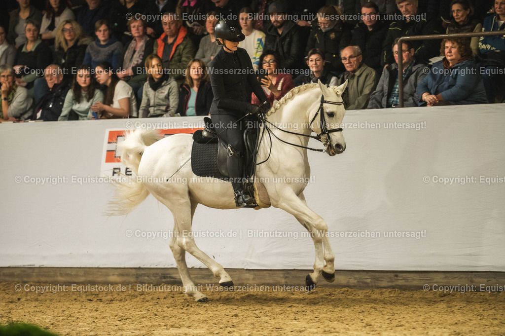 20240302_Hengstvorstellung_Marbach_TOMsPiC_1097 | equistock