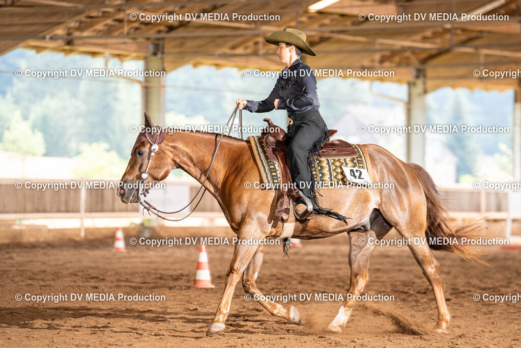 Erbach Tag 1-183 | dv-media-shop - Realisiert mit Pictrs.com