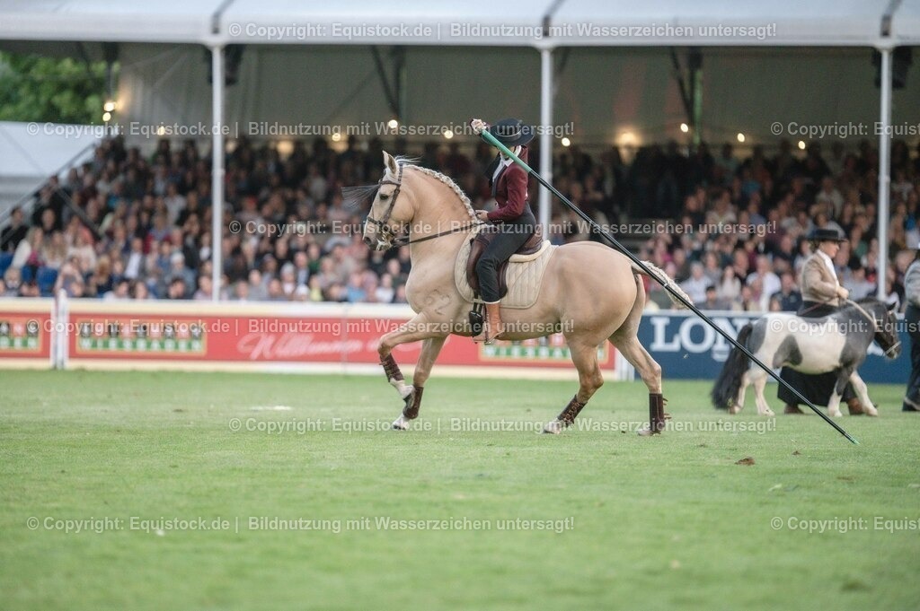 20230526_Pferdenacht_0695 | equistock