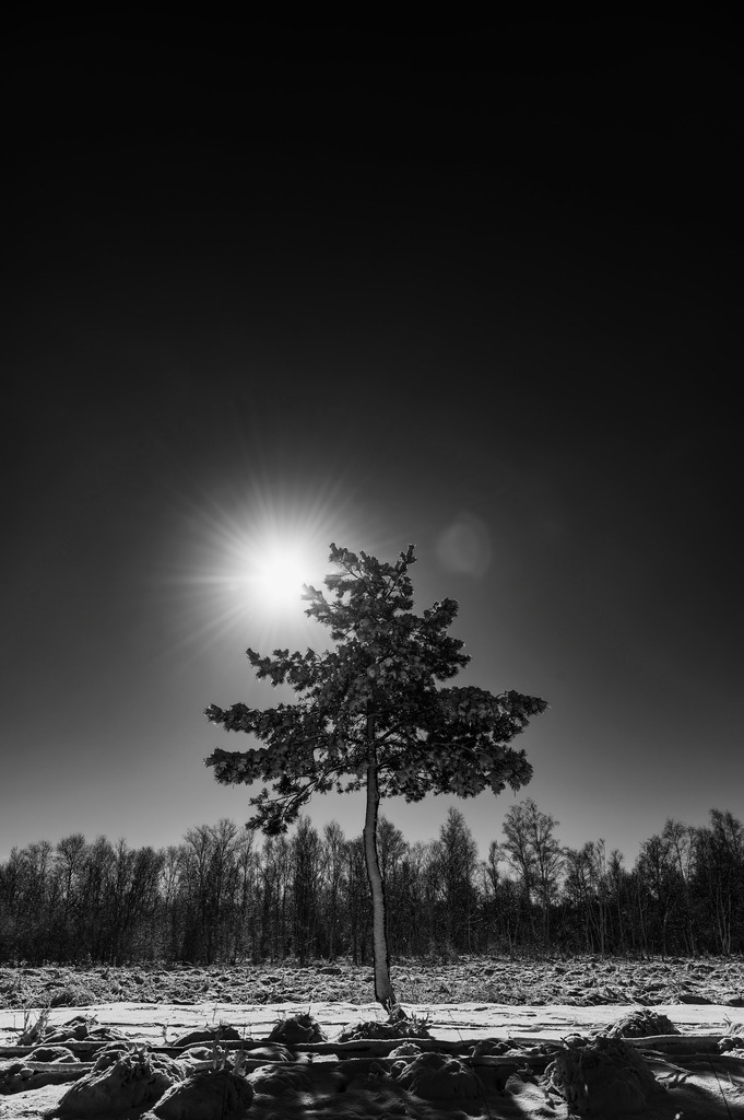 2023_03_11_MCP7314 sw | Hochwertig gedruckte Fotografien für die Wand, als Kalender und zum Verschenken. Hamburg & Norddeutschland und überall wo ich mit der Kamera unterwegs war.