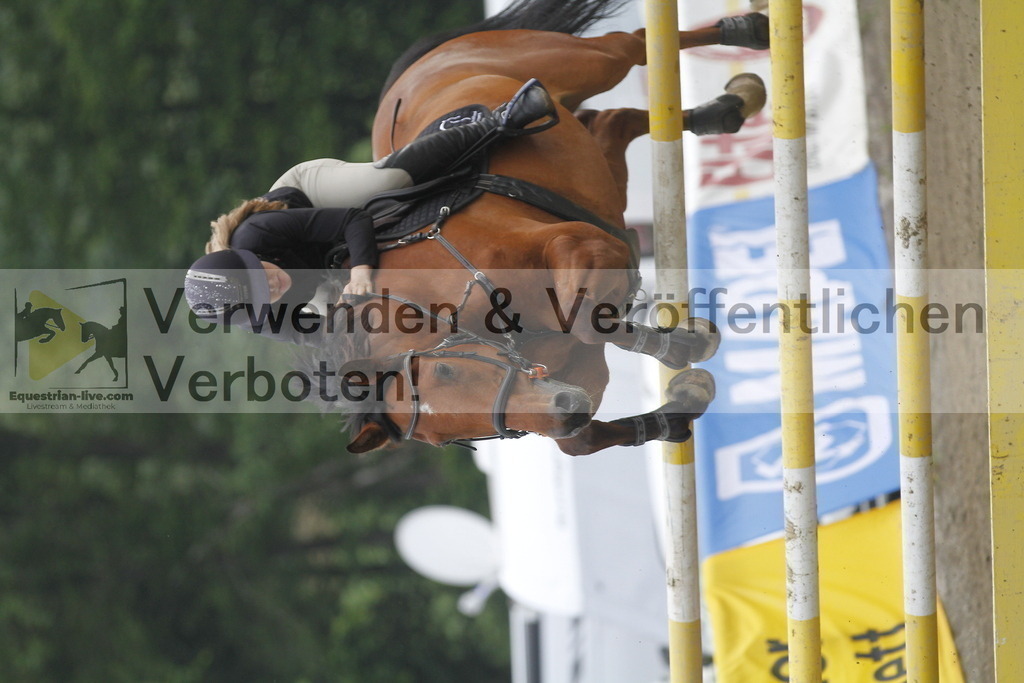 _MG_7024 | equestrian-live-com