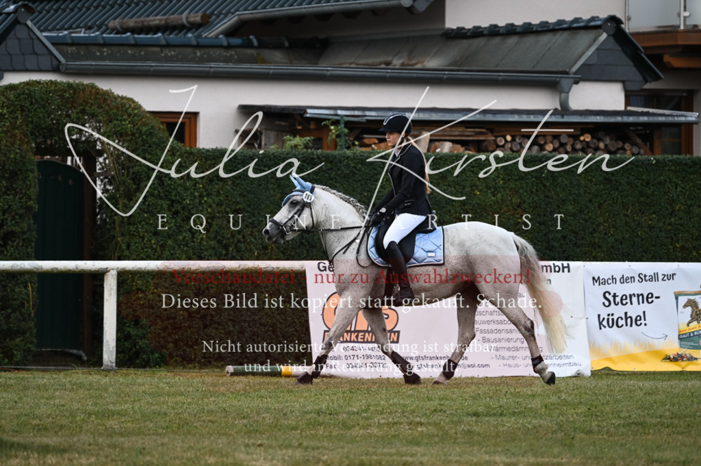 DSC_5516 | Pferde- und Turnierfotografie in Westsachsen. Pferdeportraits, Auftragszeichnungen und intuitive Kunst.