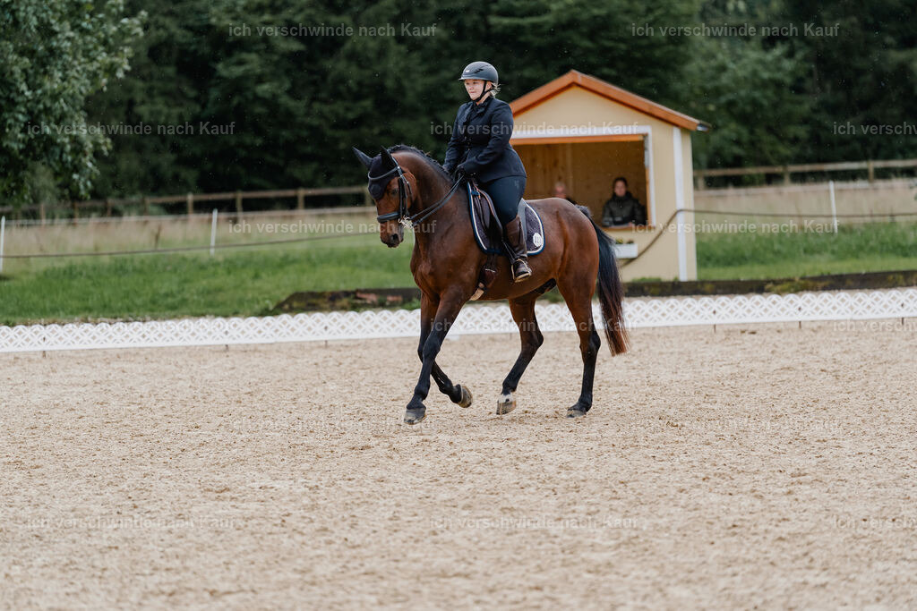 Lara_21_FHC2025-5 | working equitationturnier fotograf videograf stoibphotography marixx film working equitation deutschland reitsport turnierfotografie eventfotografie equestrian events