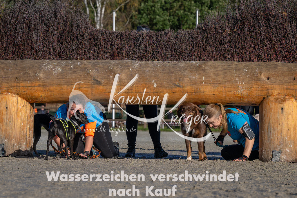 1043-_ZZ92184 | kk-dogfotos