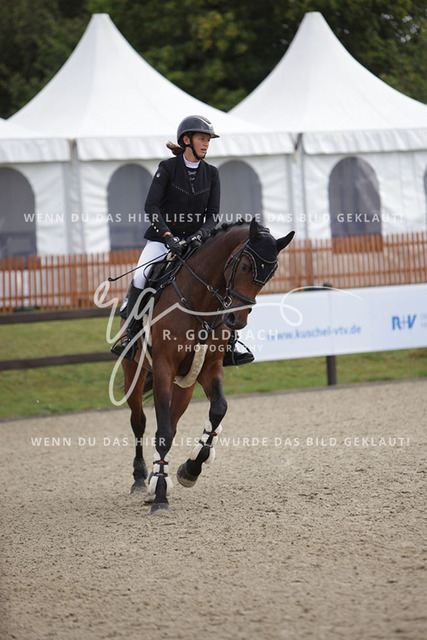 1J2A9086Sophie Kessel_ Unglaubliche_ Kn947_ Havekost | Foto- und Videografie für alles rund ums Pferd. Hochwertige Bilder und Videos vom Spring- und Dressurreiten, Voltigieren & mehr. Jetzt aktuelle Veranstaltungen und Preise im Shop ansehen. - Realisiert mit Pictrs.com