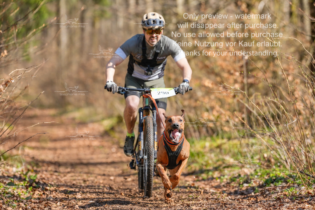 Bike_kurz_So-7 | stephaniefillaphotographie - Realisiert mit Pictrs.com