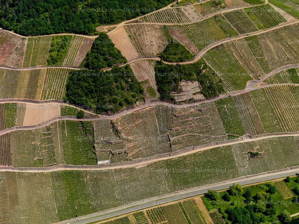 Weinberge-Merl-3114437 | Weinberge bei Merl