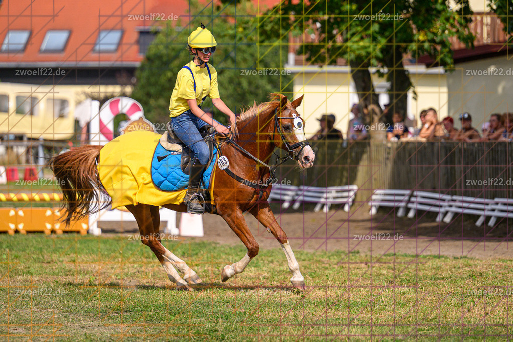 30 Jahre RFV Pulsnitz e.V., Pulsnitz am 09.08.2026 | Zur 28. breitensportlichen Veranstaltung des RFV Pulsnitz e.V. fanden verschiedene Wettbewerbe in nahezu allen Disziplinen des Pferdesport statt. - 05 Kostüm-Stilspring-Wettbewerb - Realisiert mit Pictrs.com