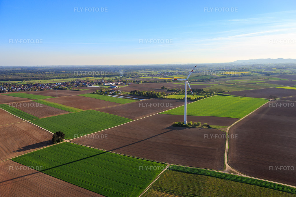 Luftbild: Minfelder Windpark in Minfeld im Bundesland Rheinland-Pfalz in Deutschland. Foto: IMG_077330.jpg vom 21.04.2015 durch Werner Riehm/FLY-FOTO.de