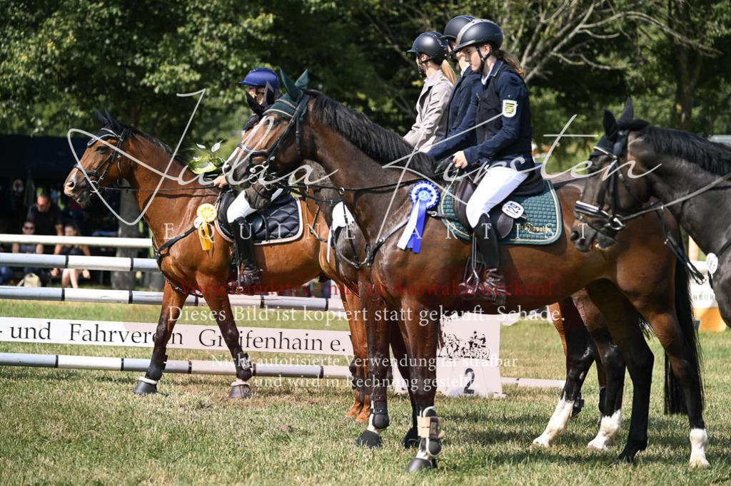 DSC_0715 | Pferde- und Turnierfotografie in Westsachsen. Pferdeportraits, Auftragszeichnungen und intuitive Kunst.