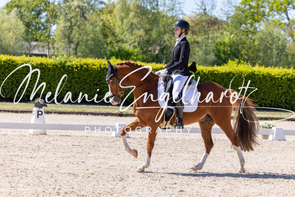 7I8A1295 | melanie-engelhardt-photography - Realisiert mit Pictrs.com