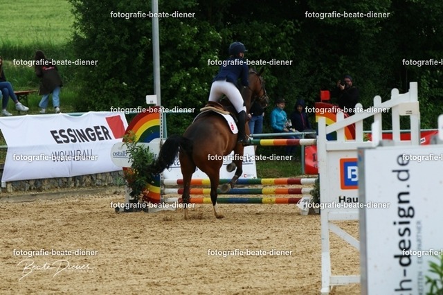 OHT1741 | Fotografie, Tiere, Hunde, Katzen, Pferde, Sportfotografie, Fotosession, Tierfotografie, Turnierfotografie, Fotografin, Fotograf - Realisiert mit Pictrs.com