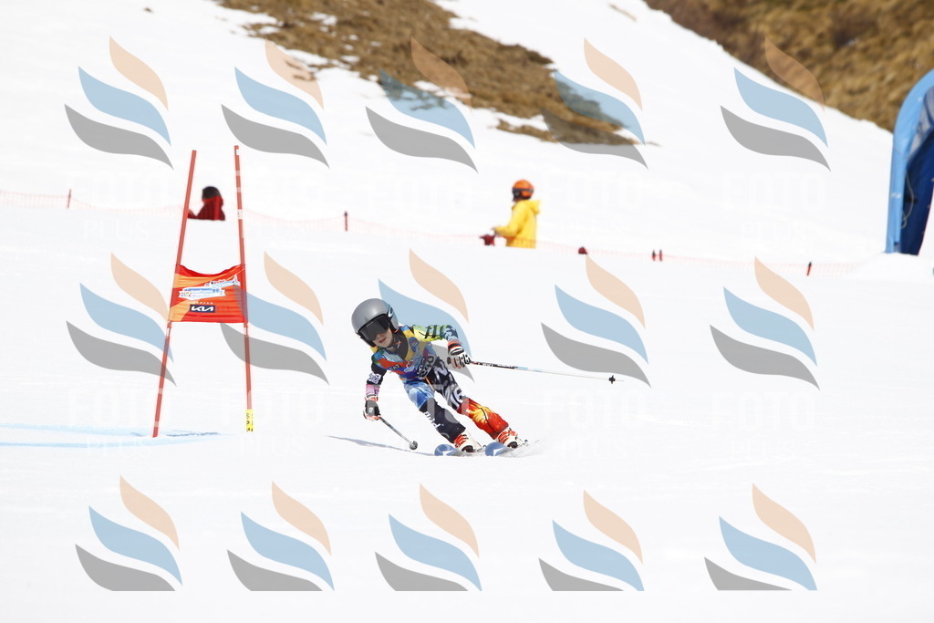 _U3G6092 | holidayphoto