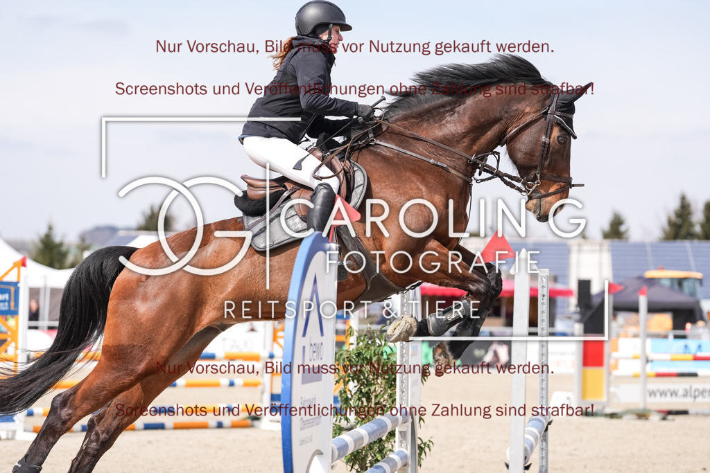 DSC05825 | Late_entry_Springturnier_Bad_Wurzach, Neugschwents_Caruso, Stefanie_Arnegger