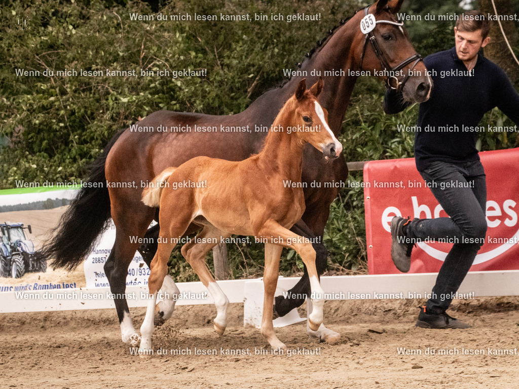A10I5440 | photographylinaismer - Realisiert mit Pictrs.com