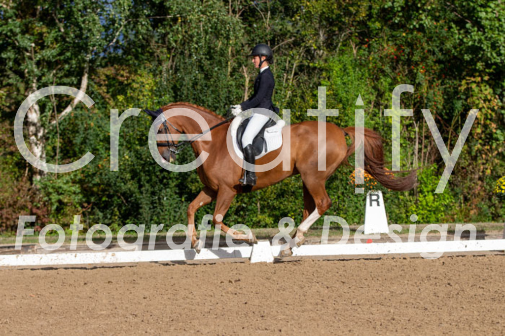 IMG_5957 | Creatify Fotografie