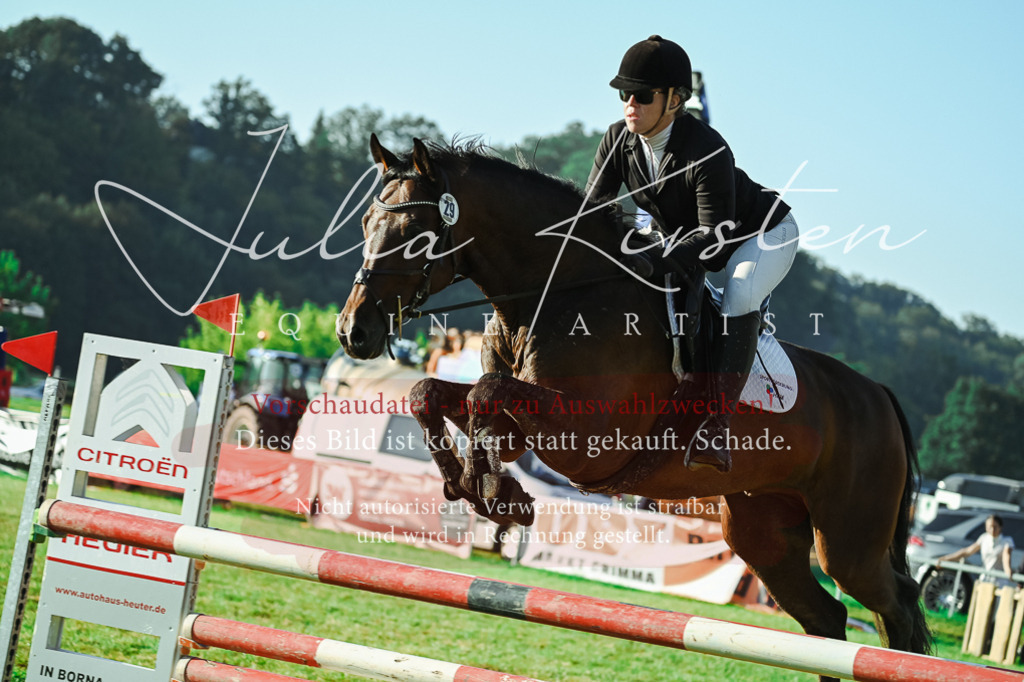 DSC_4374 | Pferde- und Turnierfotografie in Westsachsen. Pferdeportraits, Auftragszeichnungen und intuitive Kunst.