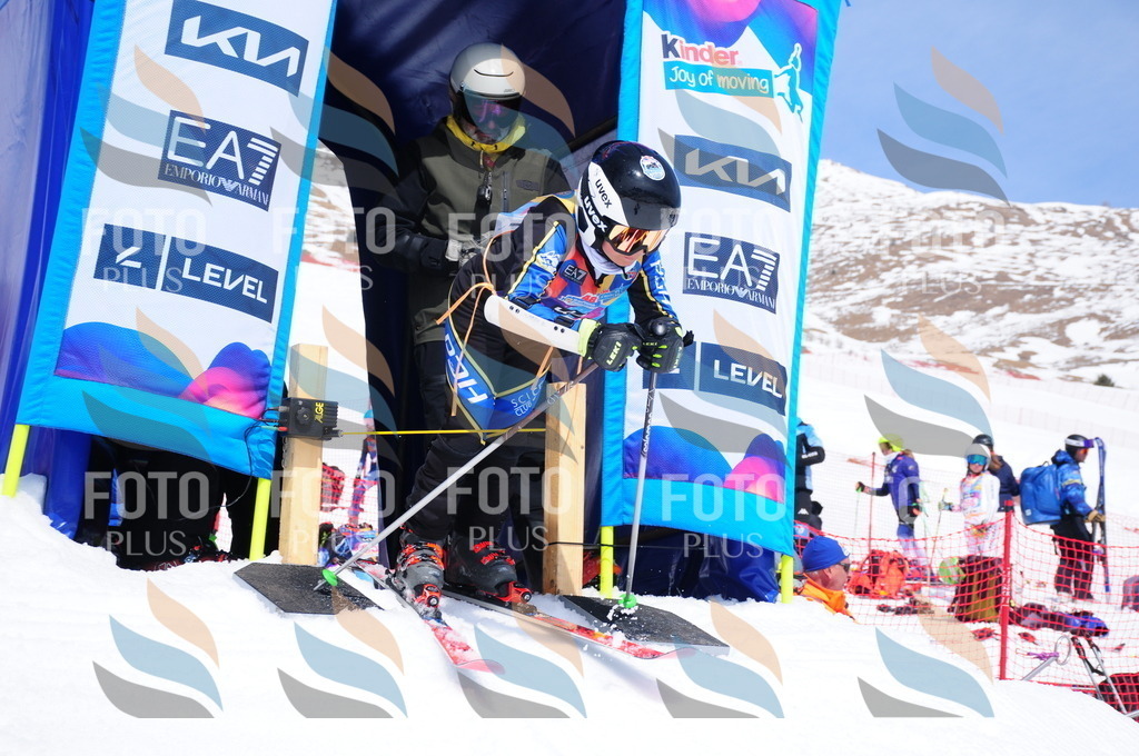 DSC_6916 | holidayphoto