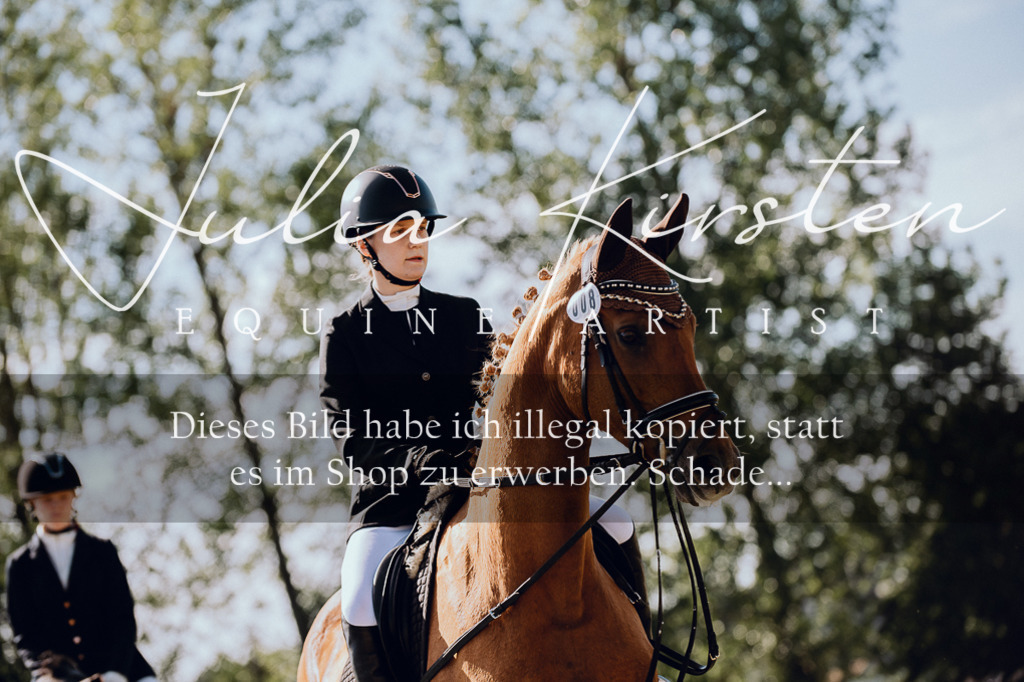 DSC_7176 | Pferde- und Turnierfotografie in Westsachsen. Pferdeportraits, Auftragszeichnungen und intuitive Kunst.