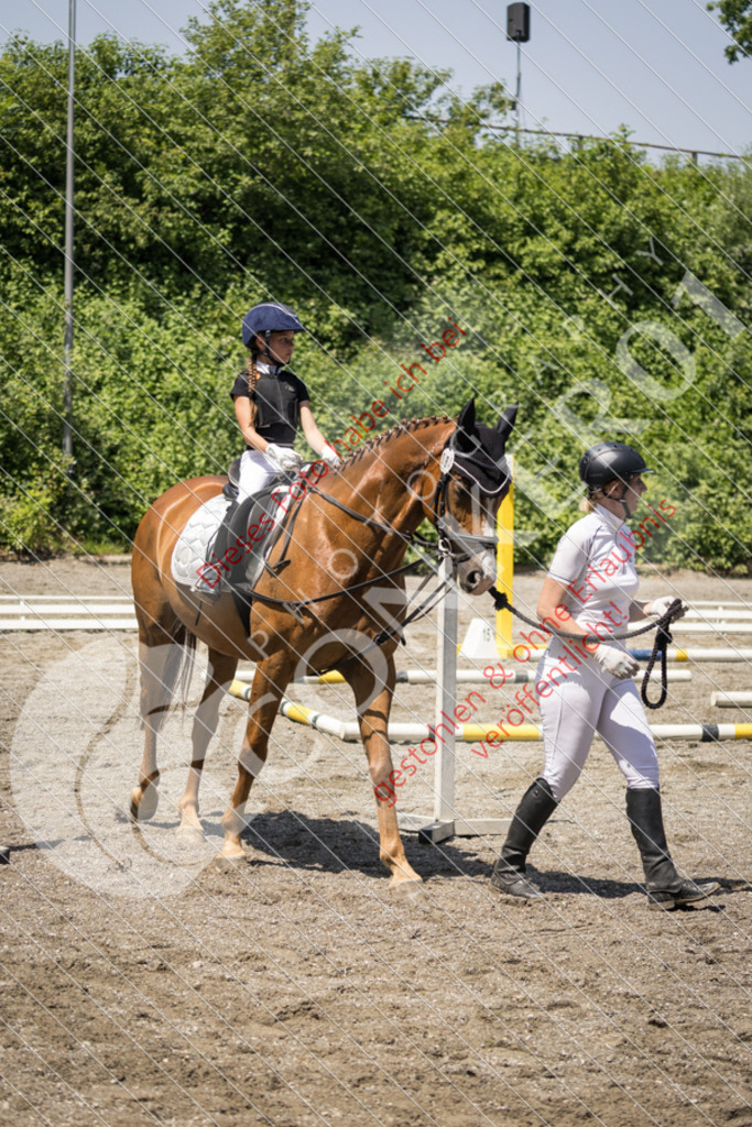 IMG_3522 | Sport-, Event- und Tierfotos in Profiqualität. Einfach auswählen, bestellen und herunterladen. Dein Moment – perfekt festgehalten.